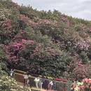 毕节旅游 缩略图 2