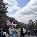 毕节旅游 缩略图 5