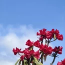 毕节旅游 缩略图 7