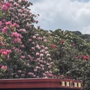 毕节旅游 缩略图 3