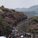 毕节旅游 缩略图 6