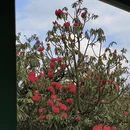 毕节旅游 缩略图 5