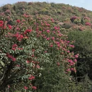 毕节旅游 缩略图 6