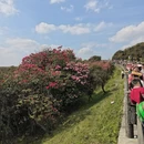 毕节旅游 缩略图 8