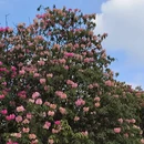 毕节旅游 缩略图 13