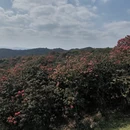 毕节旅游 缩略图 7