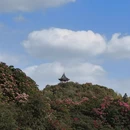毕节旅游 缩略图 14