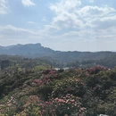 毕节旅游 缩略图 9