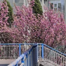 贵阳旅游 缩略图 4