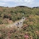 毕节旅游 缩略图 10