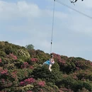 毕节旅游 缩略图 15