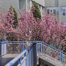 贵阳旅游 缩略图 2