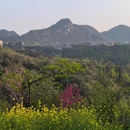 毕节旅游 缩略图 18