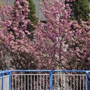 贵阳旅游 缩略图 7