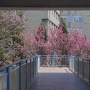 贵阳旅游 缩略图 6