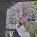贵阳旅游 缩略图 15