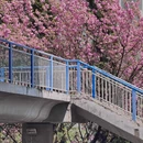 贵阳旅游 缩略图 13