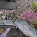 贵阳旅游 缩略图 16