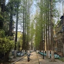 合肥旅游 缩略图 14