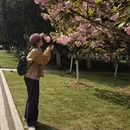 合肥旅游 缩略图 18
