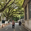 合肥旅游 缩略图 15