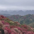 毕节旅游 缩略图 1