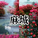 宣城旅游 缩略图 4