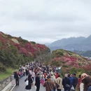 毕节旅游 缩略图 2