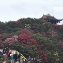 毕节旅游 缩略图 3