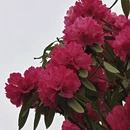 毕节旅游 缩略图 5