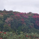 毕节旅游 缩略图 4
