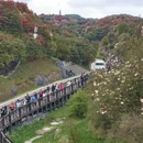 毕节旅游 缩略图 7