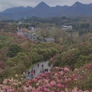 毕节旅游 缩略图 6