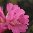 毕节旅游 缩略图 12