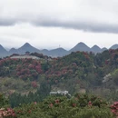 毕节旅游 缩略图 8