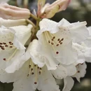毕节旅游 缩略图 10
