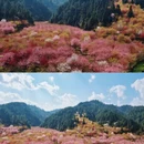 贵阳旅游 缩略图 1