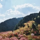 贵阳旅游 缩略图 8