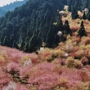 贵阳旅游 缩略图 4