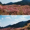 贵阳旅游 缩略图 2
