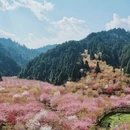 贵阳旅游 缩略图 6