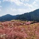 贵阳旅游 缩略图 7