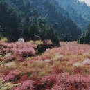 贵阳旅游 缩略图 3