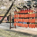 台州旅游 缩略图 1