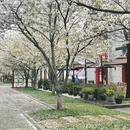 台州旅游 缩略图 3