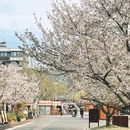 台州旅游 缩略图 4