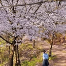安顺旅游 缩略图 5