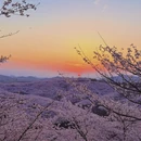 安顺旅游 缩略图 2