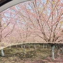 贵阳旅游 缩略图 2