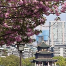 贵阳旅游 缩略图 3